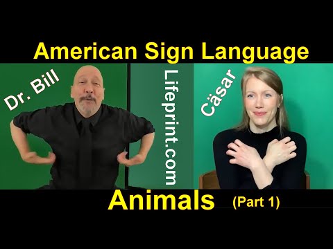 Lesson 12 Story B Cäsar Jacobson Dr Bill ASLU Lifeprint com American Sign Language ASL