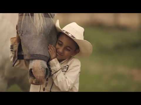 Enjoy 1,2 3, or 4 Horseback Riding Lessons for One Hour Each Sessions - Up to 41% Off at Pipe Dreams Farm - Second Medium
