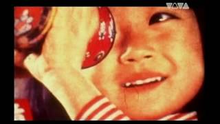 The Go! Team - Ladyflash (Remastered Video) (2004)