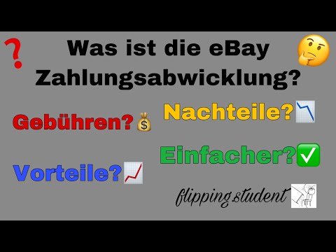 eBay Zahlungsabwicklung erklärt mit Beispiel - Was ist das eigentlich? Gebühren? Vor- und Nachteile?