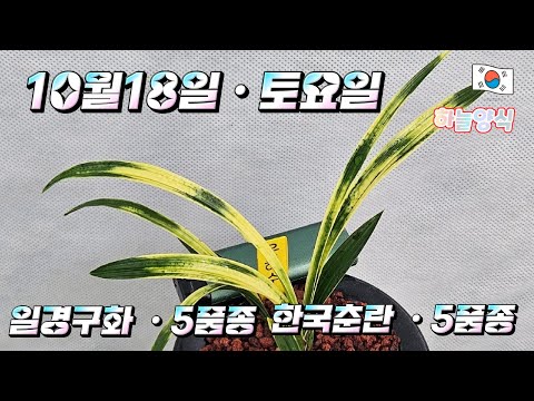 유튜브 썸네일