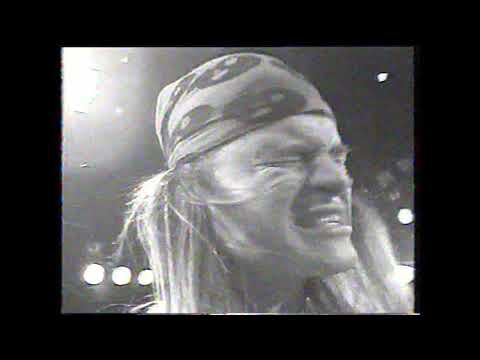 Zikurrat dokument,"Delirium Tremens" klip,Šaráda,"Mám na tvoji iq dvojitý lék" klipy,Stromboli Hory