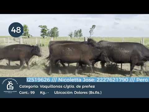 Lote VQ CGP - Dolores Bs As