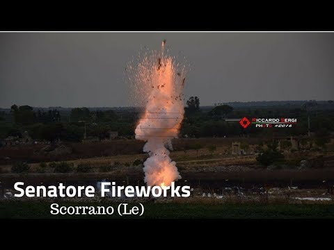 Scorrano (Le) - Festa di Santa Domenica 2018 - Diurno Senatore