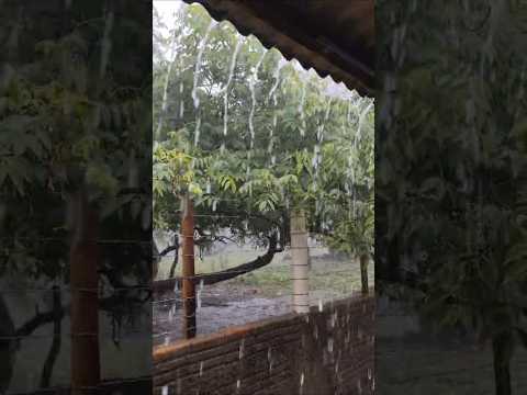 🇧🇷 QUEIMADA NOVA, PIAUÍ 06/01/2026