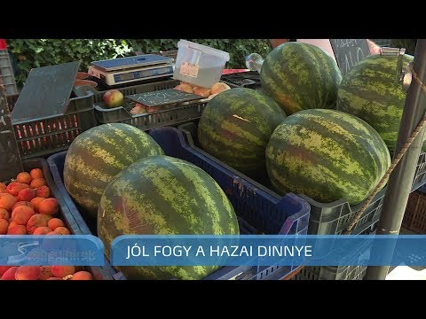 a dinnye javítja a látást