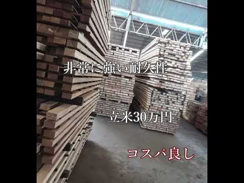 エキゾチックなウッドテラス - 屋外用バンキライ  庭園