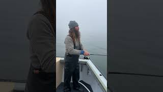 Download lagu How to Fish the Flutter Spoon for Stripers ft. Capt. Rob Taylor #fishing #stripedbass #flutterspoon mp3