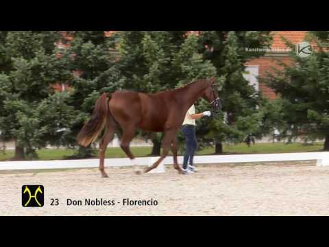 Hanoverian Stallion Licensing 2016 No  23 by Don Nobless Florencio I