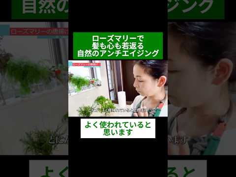 医療ビジネス薬科学科 🌿ローズマリーで髪も心も若返る 自然のアンチエイジング🌿#shorts #ハーブ #体質改善 #ローズマリー