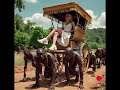 Black slaves carry their mistress