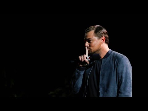 Amazonas-Brände: DiCaprio weist Bolsonaros Anschuldigungen zurück