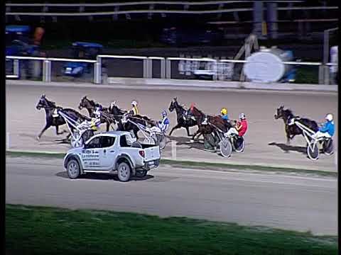 Trotto 08/11/2019 - 8ª corsa