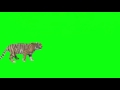 Green Screen Tiger Effect Part 2
