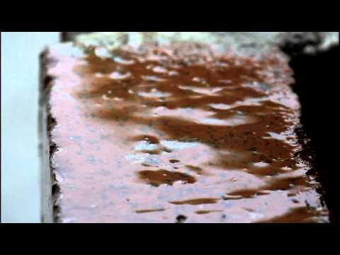 Pangarap Lang Kita - Parokya Ni Edgar feat. Hapee Sy (MUSIC VIDEO) HD