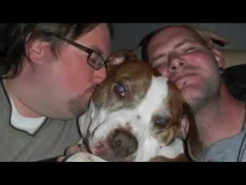 Elliott's Song (The Dog Song)