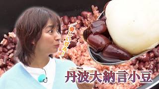 JA京都「丹波大納言小豆」畑一さん (南丹市)｜KBS京都テレビ「あぐり京都」 2026年8月放送