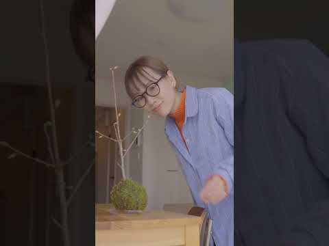 bac-a-fleurs--petnunias-garde-corps-porche