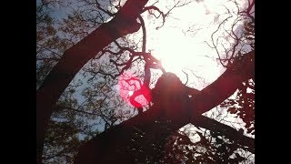 楊宗緯 Aska Yang   那个男人 That Man duet cover by Lucy Zhi