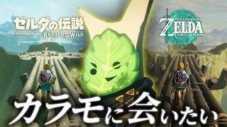 【封印戦記のその後】カラモに会いに行く。時を超えた物語【ブレワイ・ティアキン】