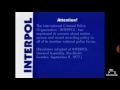 Opening To Barney Everyone Is Special 2005 Vhs
