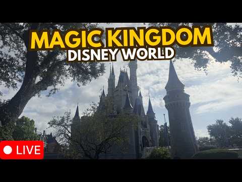 Live webcam of Disney Parks with Love