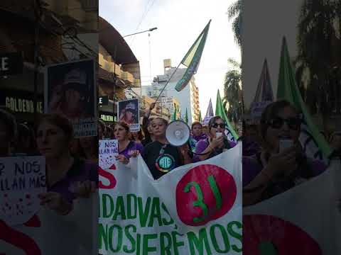 Cientos de personas marchan por las calles céntricas de Posadas en una...