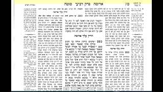סוטה דף כח