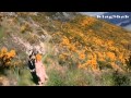 Anil Kapoor Raveena Hum Ne Tumko Chun Liya Hai HD 1080p Anuradha Paudwal Kumar Sanu Bulandi