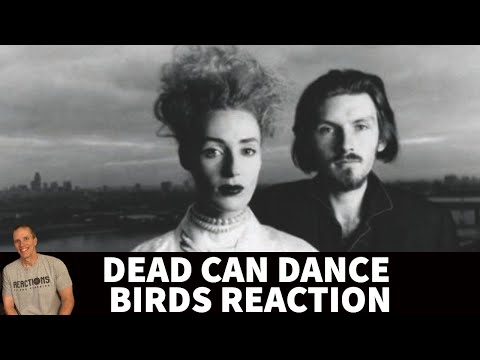 Reaction to Dead Can Dance - Bird Song Reaction!