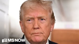 'The law held': Ari Melber breaks down Supreme Court's tariff ruling