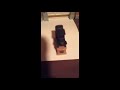 Cars Season 1 Remastered Teaser