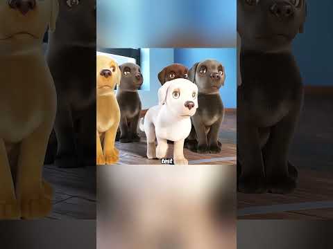 This is the smartest guide dog I've ever seen.