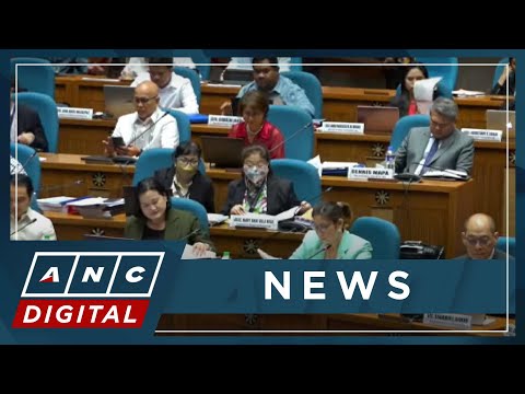 Garin: House passed proposed 2024 national budget without changes for purposes of expediency ANC