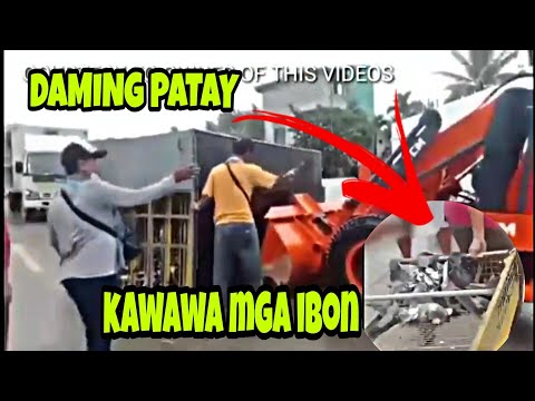 TUMAOB NA TRUCK NG ISANG CLUB|DAMING PATAY NA KALAPATI 🥺