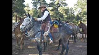 William Stromberg/ Max Steiner: The Mule, Digging, Cave In