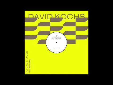 David Kochs - Dry Me (Daniel Bortz Remix)