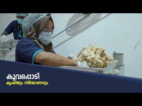 Mango fruit leather, packaging size: 200 g