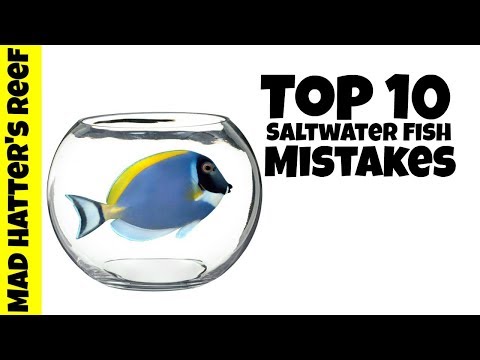 Top 10 Saltwater Fish Mistakes