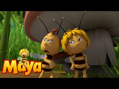 Thekla is in a state -  Maya the Bee - Episode 36