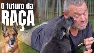 Miniatura do vídeo