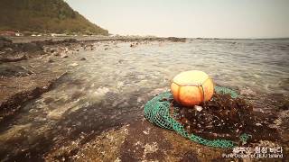 Jeju seaweed | innisfree