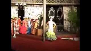 preview picture of video 'Pase flamenco de niñas Reina de Fiestas Churriana de la Vega 2008'