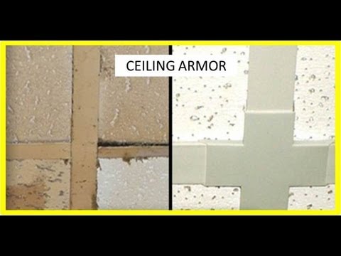 Ceiling Armor