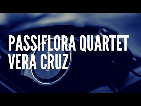 Passiflora Quartet -- Vera Cruz