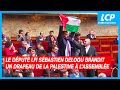 Le député LFI Sébastien Delogu brandit un drapeau palestinien à l’Assemblée - 28 mai 2024
