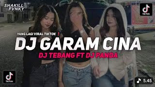 Download lagu DJ GARAM CINA VIRAL TIKTOK ❗DJ TEBANG FT DJ PANDA #fullbass#djpanda#djgaramcina mp3