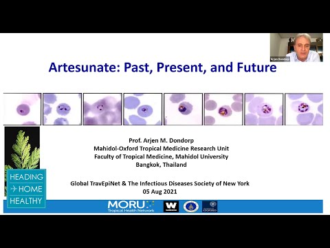 Artesunate tablets 50 mg 100 mg 200 mg, treatment: to treat ...