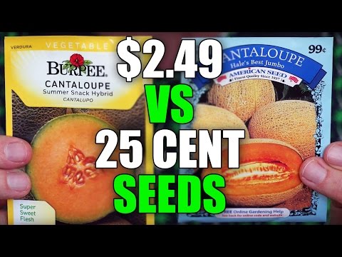 image-Is Burpee seeds a good company?