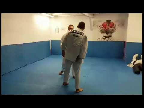 Judo Throws